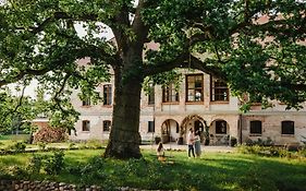 Pałac Wielka Wieś - Pałac pod Dębem